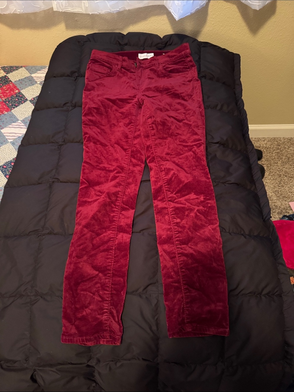 Deep Red velvet Pants Loft